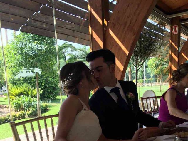 La boda de Jose y Esther en Alzira, Valencia 2