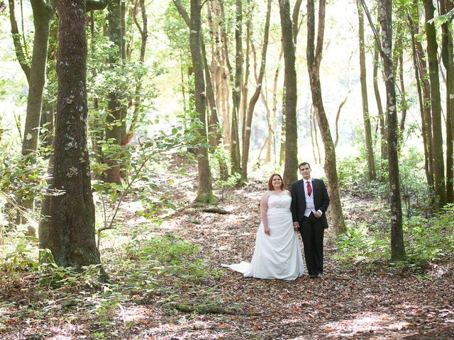 La boda de Alejandro y Merchy en La Orotava, Santa Cruz de Tenerife 38