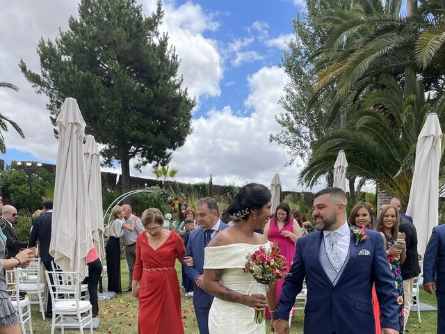 La boda de Victor y Elisa en Mérida, Badajoz 8