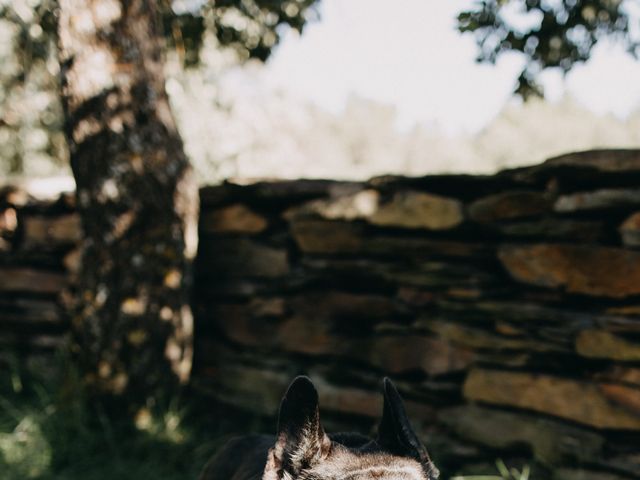 La boda de Nacho y Mabel en Campillo De Ranas, Guadalajara 6