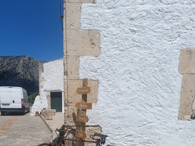 La boda de Federico y Pedrona en Pollença, Islas Baleares 6