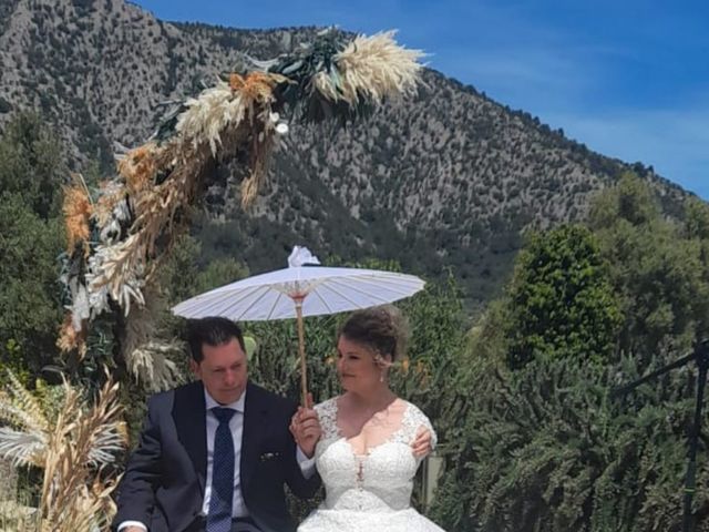 La boda de Federico y Pedrona en Pollença, Islas Baleares 7
