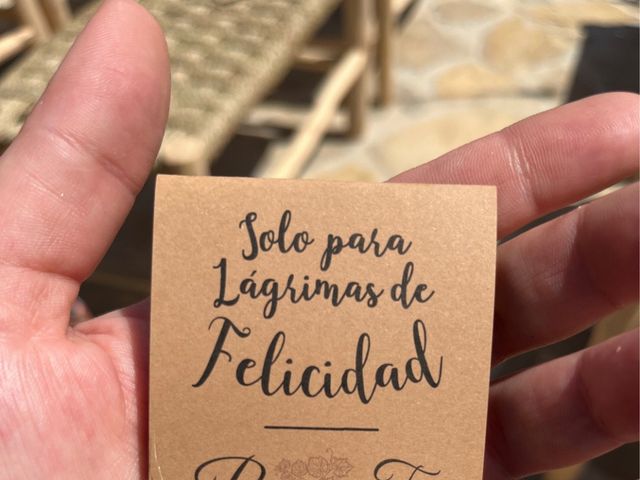 La boda de Federico y Pedrona en Pollença, Islas Baleares 10