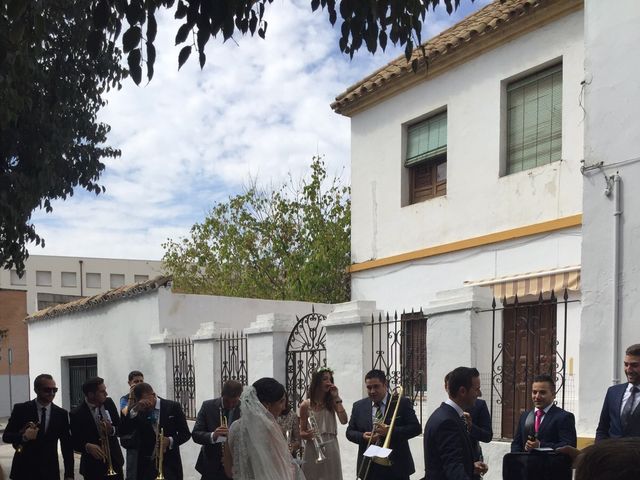 La boda de Antonio y Charo en Córdoba, Córdoba 10