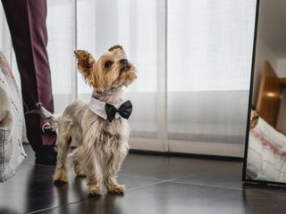 La boda de Cristina y Manel 2