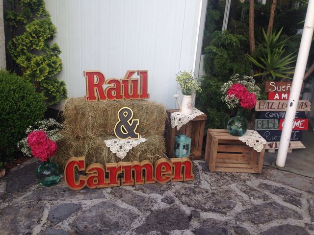 La boda de Raul y Carmen en Pola De Siero, Asturias 9