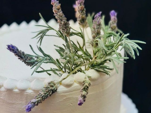 La boda de Daniel y Miriam  en Sant Feliu De Buixalleu, Girona 4
