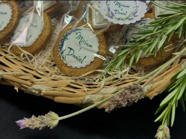 La boda de Daniel y Miriam  en Sant Feliu De Buixalleu, Girona 8