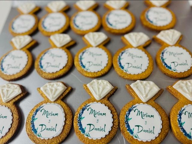 La boda de Daniel y Miriam  en Sant Feliu De Buixalleu, Girona 1