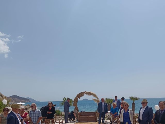 La boda de Pedro y Patri  en La/villajoyosa Vila Joiosa, Alicante 6
