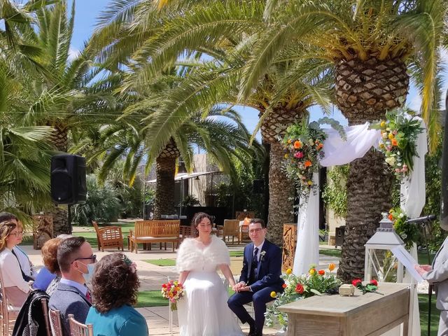 La boda de Rosa y Diego  en Elda, Alicante 4