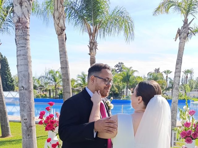 La boda de Alina  y Alberto en Jerez De La Frontera, Cádiz 2