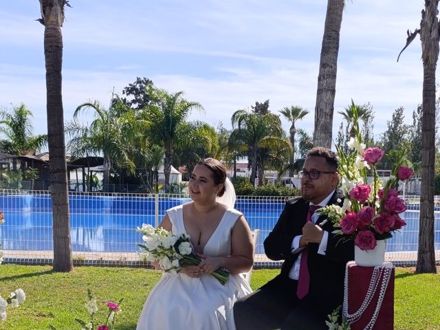 La boda de Alina  y Alberto en Jerez De La Frontera, Cádiz 3