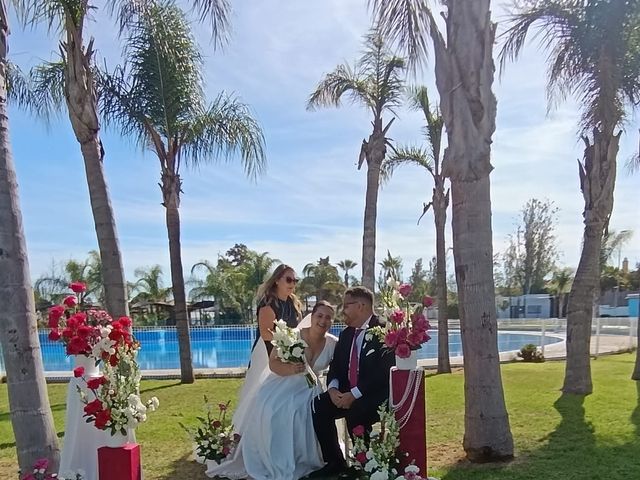 La boda de Alina  y Alberto en Jerez De La Frontera, Cádiz 5