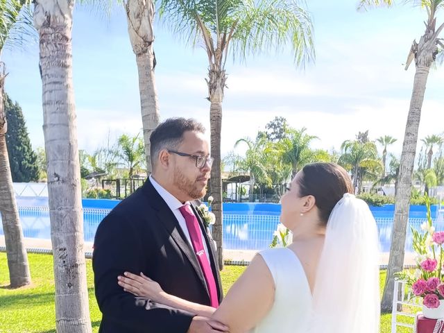 La boda de Alina  y Alberto en Jerez De La Frontera, Cádiz 6