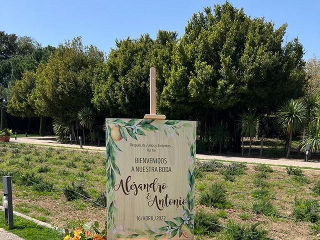 La boda de Antonio y Alejandro en El Puig, Valencia 1