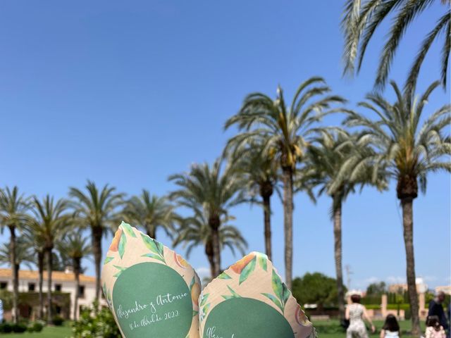 La boda de Antonio y Alejandro en El Puig, Valencia 15