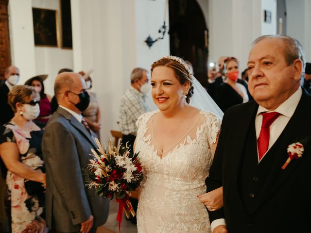 La boda de José Antonio y Carmen en Salteras, Sevilla 38