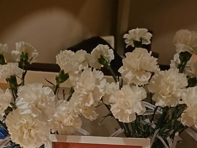La boda de Chema y Keila  en Ávila, Ávila 7