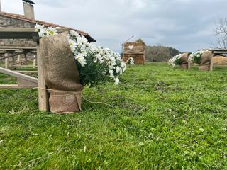 La boda de Marta y Xevi 2