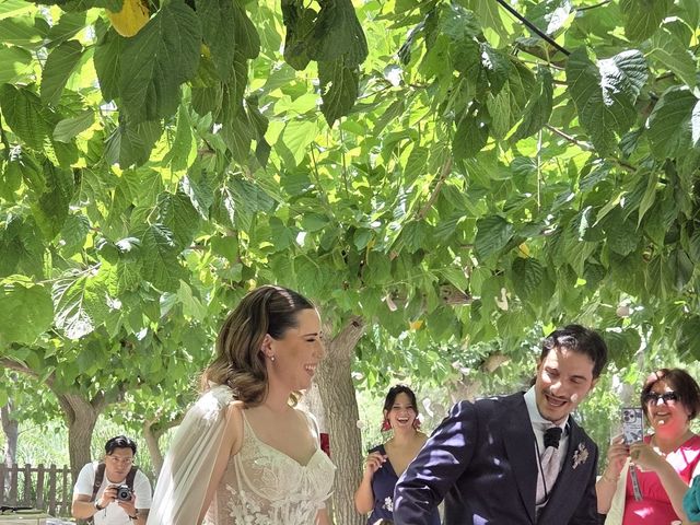 La boda de Miguel y Carmen en Deltebre, Tarragona 2