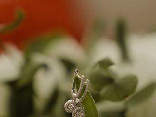 La boda de Marta y Javier 1