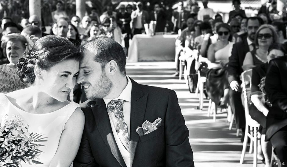 La boda de David y Virginia en Tornadizos De Avila, Ávila