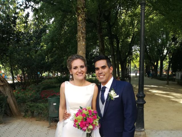 La boda de Sergio  y Prados en Talavera De La Reina, Toledo 2