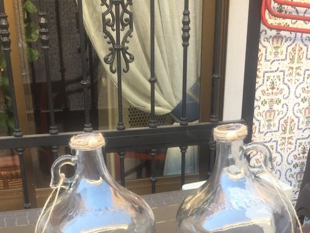 La boda de Sergio  y Prados en Talavera De La Reina, Toledo 8