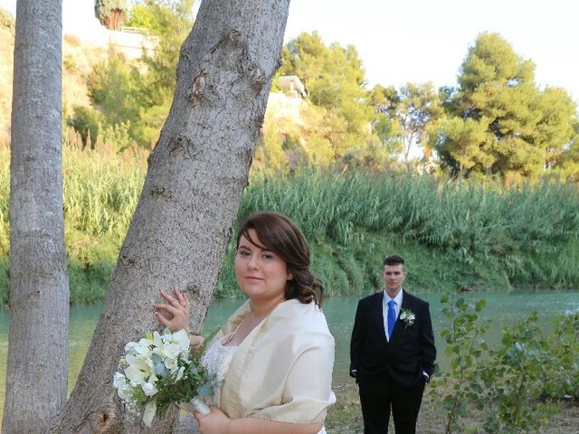 La boda de Sergio y Brenda en Vila-real/villarreal, Castellón 36