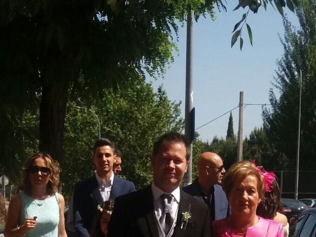 La boda de Óscar  y Vanesa  en Aranjuez, Madrid 3