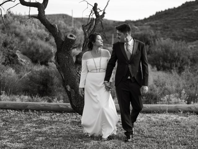 La boda de Ramón y Mari Ángeles en Felix, Almería 12