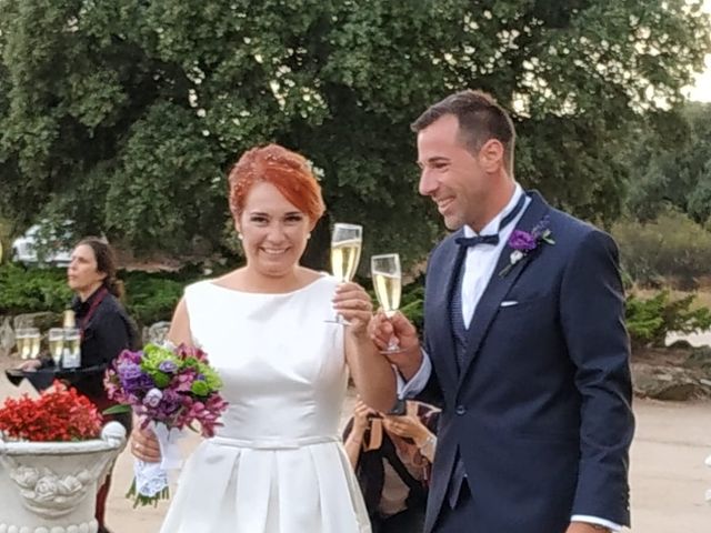 La boda de Ángel  y Tamara  en Collado Villalba, Madrid 8