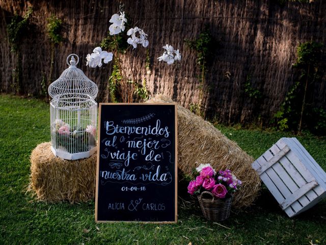 La boda de Carlos y Alicia en Villalbilla, Madrid 1