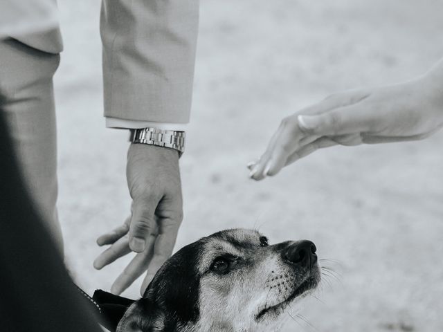 La boda de Adria y Marta en Estanyol, Girona 43