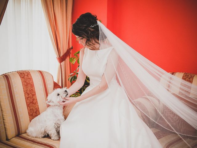 La boda de Emilio y Cristina en Ciudad Real, Ciudad Real 17