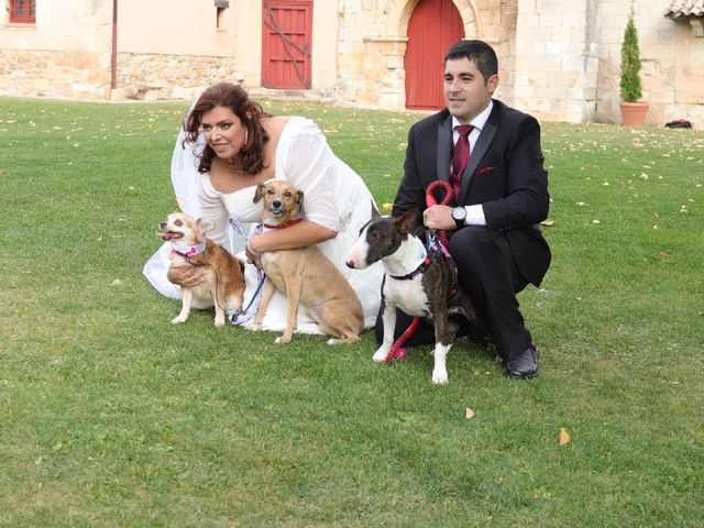 La boda de José Manuel y Ana María en Olmos De Ojeda, Palencia 2