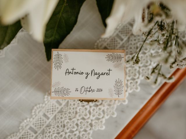 La boda de Nazaret y Antonio en Almería, Almería 12