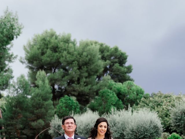 La boda de Carlos y Carmen en Toledo, Toledo 18