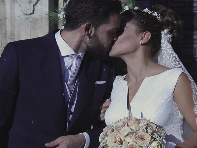 La boda de Fº Javier y Sara en Granada, Granada 47