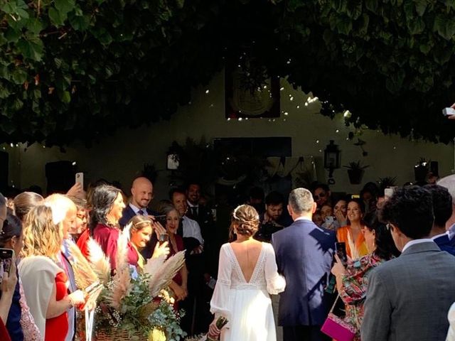 La boda de Adrián  y Paula en Jerez De La Frontera, Cádiz 3