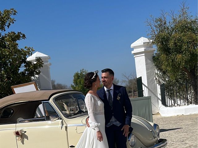 La boda de Adrián  y Paula en Jerez De La Frontera, Cádiz 8