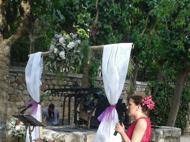 La boda de César y Arancha en Chinchon, Madrid 13