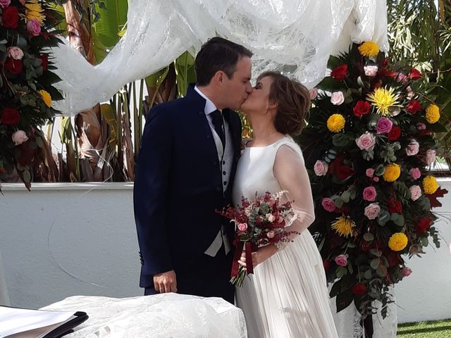 La boda de Hector  y Maria Jose en Murcia, Murcia 14