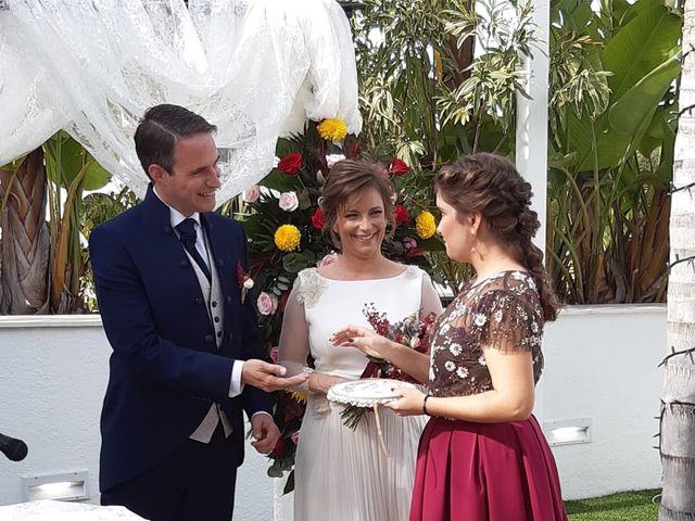 La boda de Hector  y Maria Jose en Murcia, Murcia 15