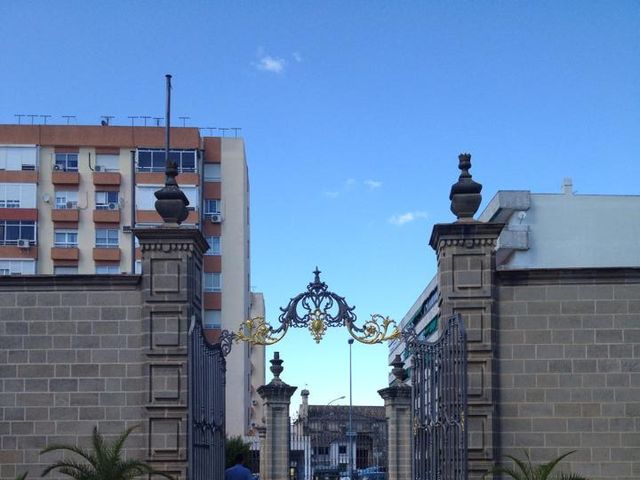 La boda de Francisco Javier y Cristina en Jerez De La Frontera, Cádiz 1