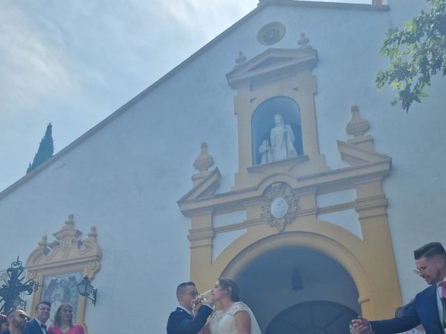 La boda de José Ángel  y María José  en Córdoba, Córdoba 6