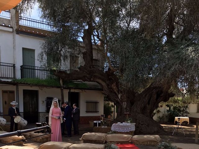 La boda de Paco y Mº Jose en El Rocio, Huelva 4