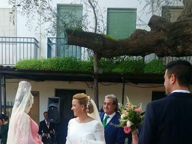 La boda de Paco y Mº Jose en El Rocio, Huelva 16