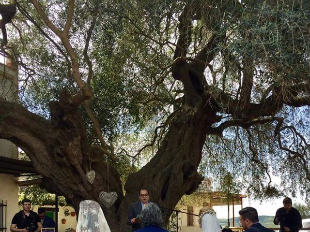 La boda de Paco y Mº Jose en El Rocio, Huelva 2